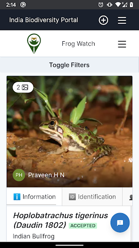 Frog Watch Screen 2