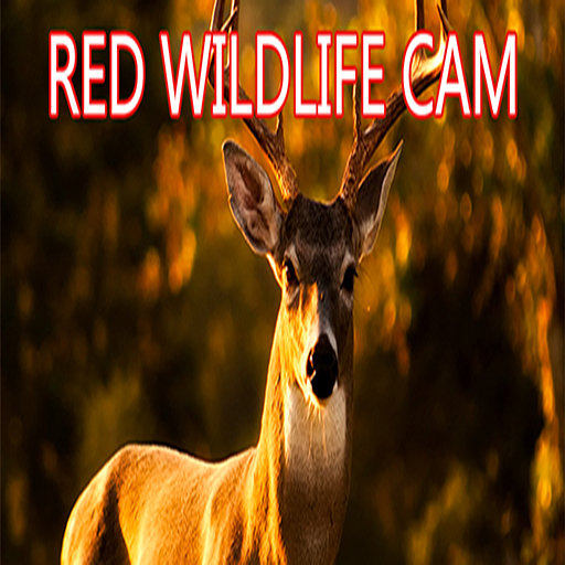 RED WILDLIFE CAM logo