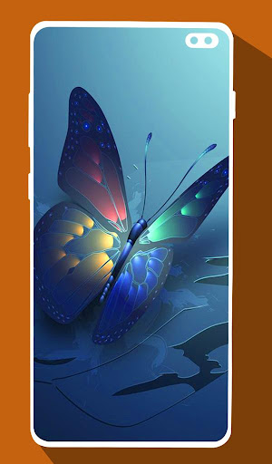 Butterfly Wallpapers
