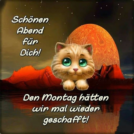 Bilder für jeden Anlass Screen 2
