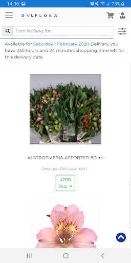DV Flora Dutch Direct Shop Screen 3