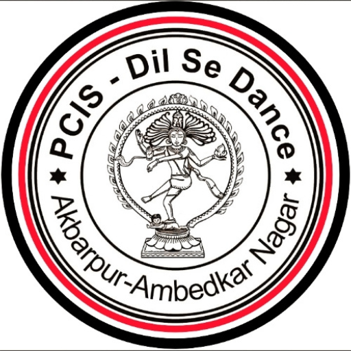 DSD Satyam Educational centre logo
