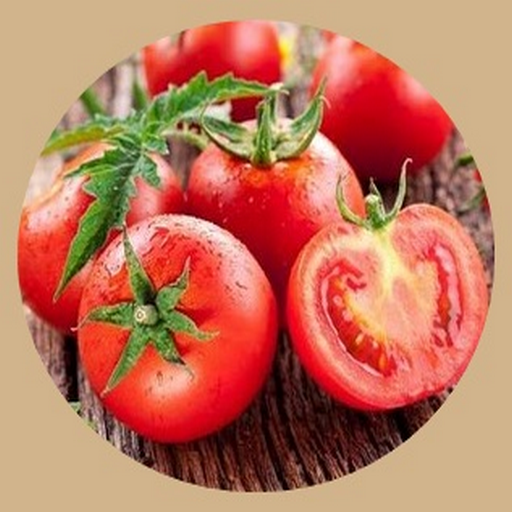 Detailed tomato cultivation Logo
