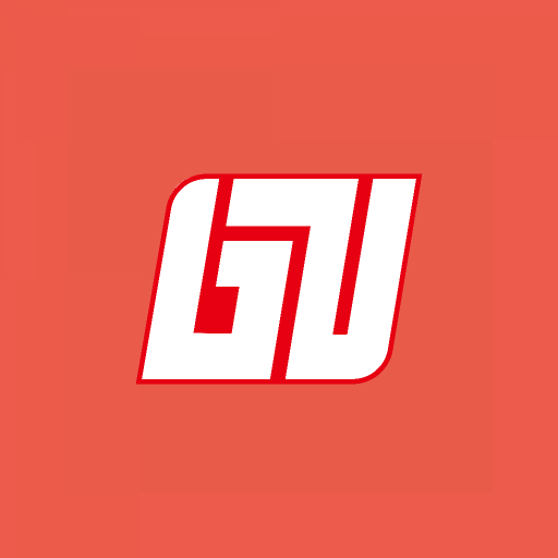Berlin Underwriters Director logo