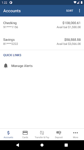 Financial Federal Personal Screen 3