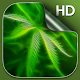 Weed Wallpaper Download on Windows