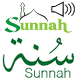 SUNNA - The Prophet Muhammad PBUH (S A W)'s Path Download on Windows