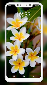 Screenshot 8 Lily Wallpaper android