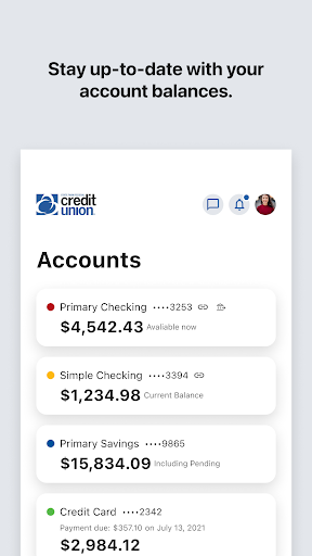 State Farm Fed Credit Union Screen 3