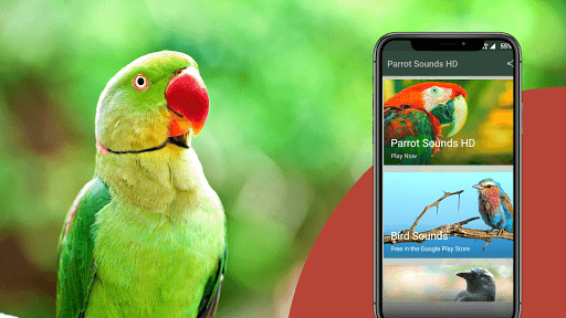 Parrot Sounds Screen 2