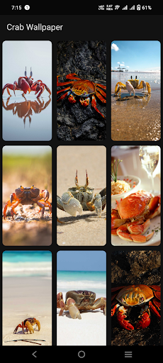 Crab Wallpaper Screen 3