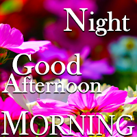 Good Morning Afteroon Evening Night Wishes Message