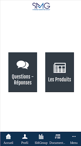 Synergie Marketing Group Screen 3