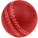 Cricket Scorer for Android icon