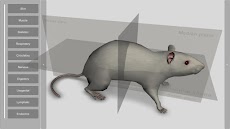 3D Rat Anatomyのおすすめ画像1
