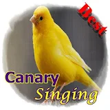 Canary Singing icon