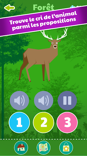 Zoo Quiz