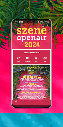 Szene Openair Screen 2