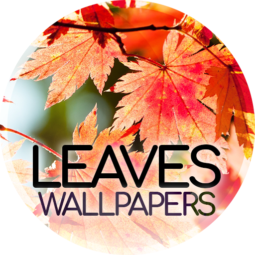 Wallpapers with leaves in 4K logo