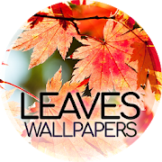 Leaves wallpapers