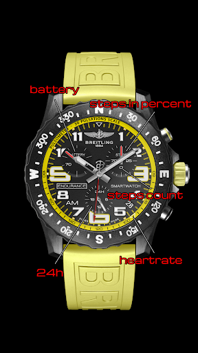 Breitling ENDURANCE WATCH FACE