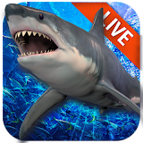 Live Wallpaper with Shark in the Ocean icon