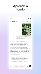 Imagen de la captura de pantalla