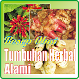 Resep Obat Tumbuhan Herbal icon