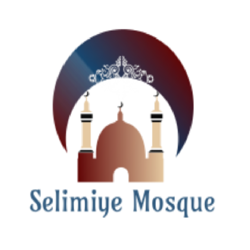 Selimiye Mosque 8.4 Icon