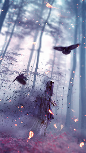 Android application Raven Wallpapers screenshort