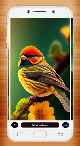 Bird Wallpaper HD screenshot 11