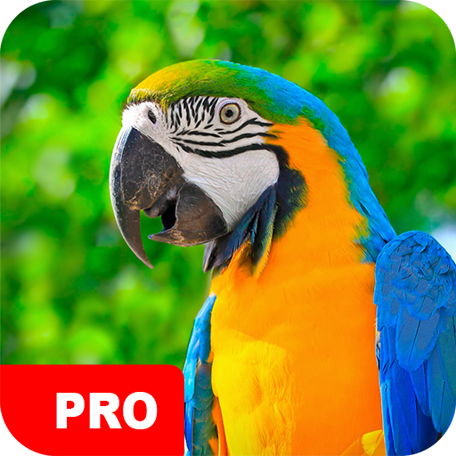 Parrot Wallpapers PRO logo