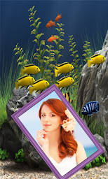 Aquarium Photo Frames : aquarium wallpaper 4k HD