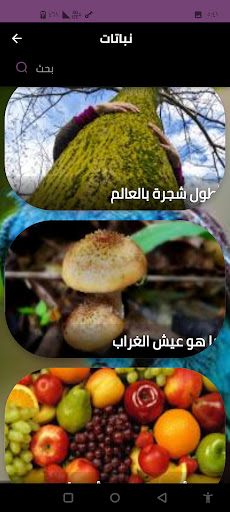 نباتات Screen 2