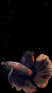 Betta Fish Live Wallpaper FREE 1.4 Screenshots 8