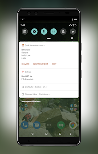 Quick Reminders – Notes In Your Notification Panel 4.8 Apk 3