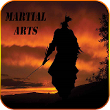 Martial arts icon
