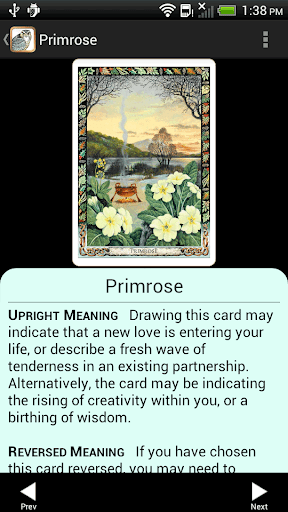 Screenshot of Druid Oracle Cards