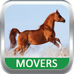 Movers Apk