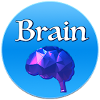 Brain - Train Your Brain 🧠 30