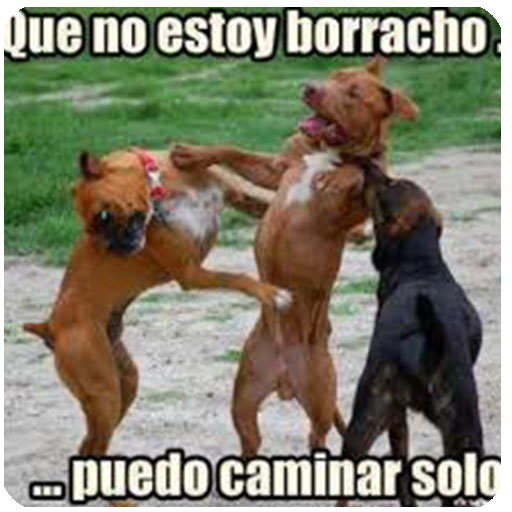 Imágenes Chistosas Memes Divertidos Y Famosos