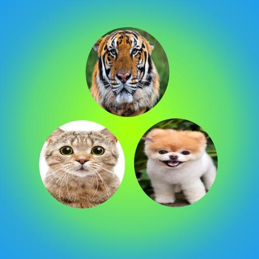 Animals Book App : Animals Pho logo
