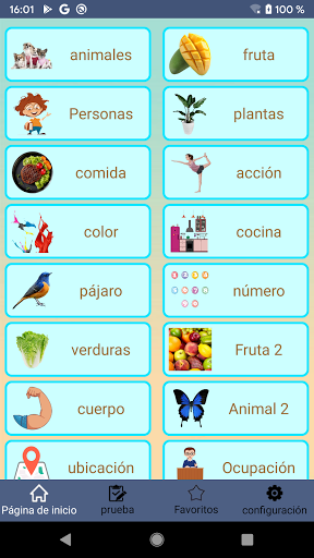 Vista previa de la aplicación