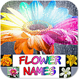 Flower Names, Colors, Features icon