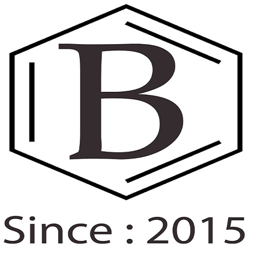Bhadange Classes logo