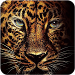 Cover Image of Descargar Jaguar Wallpaper  APK