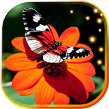 Butterflies n Flowers LWP icon