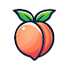 فیلتر شکن قوی پرسرعت Peach Vpn - ツールアプリ