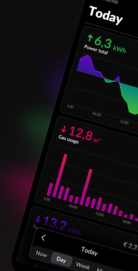 HomeWizard Energy Screen 1