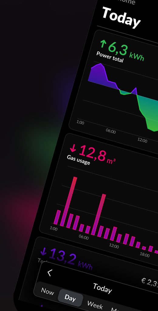 Android application HomeWizard Energy screenshot
